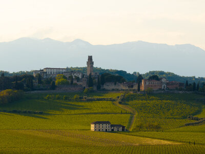 Copy of nova-eroica-prosecco-hills-2