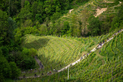 Copy of nova-eroica-prosecco-hills-5