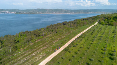 Copy of nova-eroica-istria-11