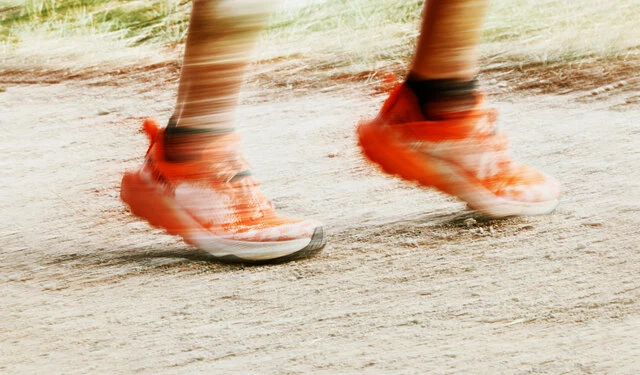 scarpa-golden-gate-7