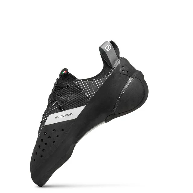 scarpa-blackbird-still-1