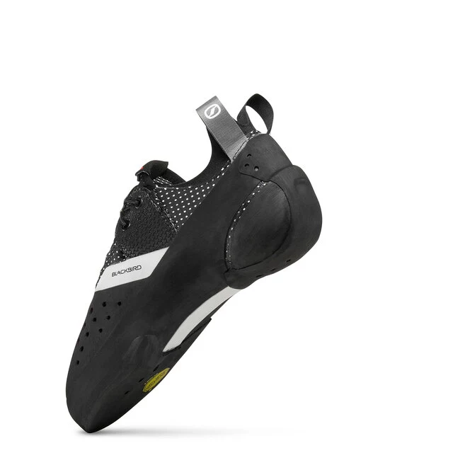 scarpa-blackbird-still-2