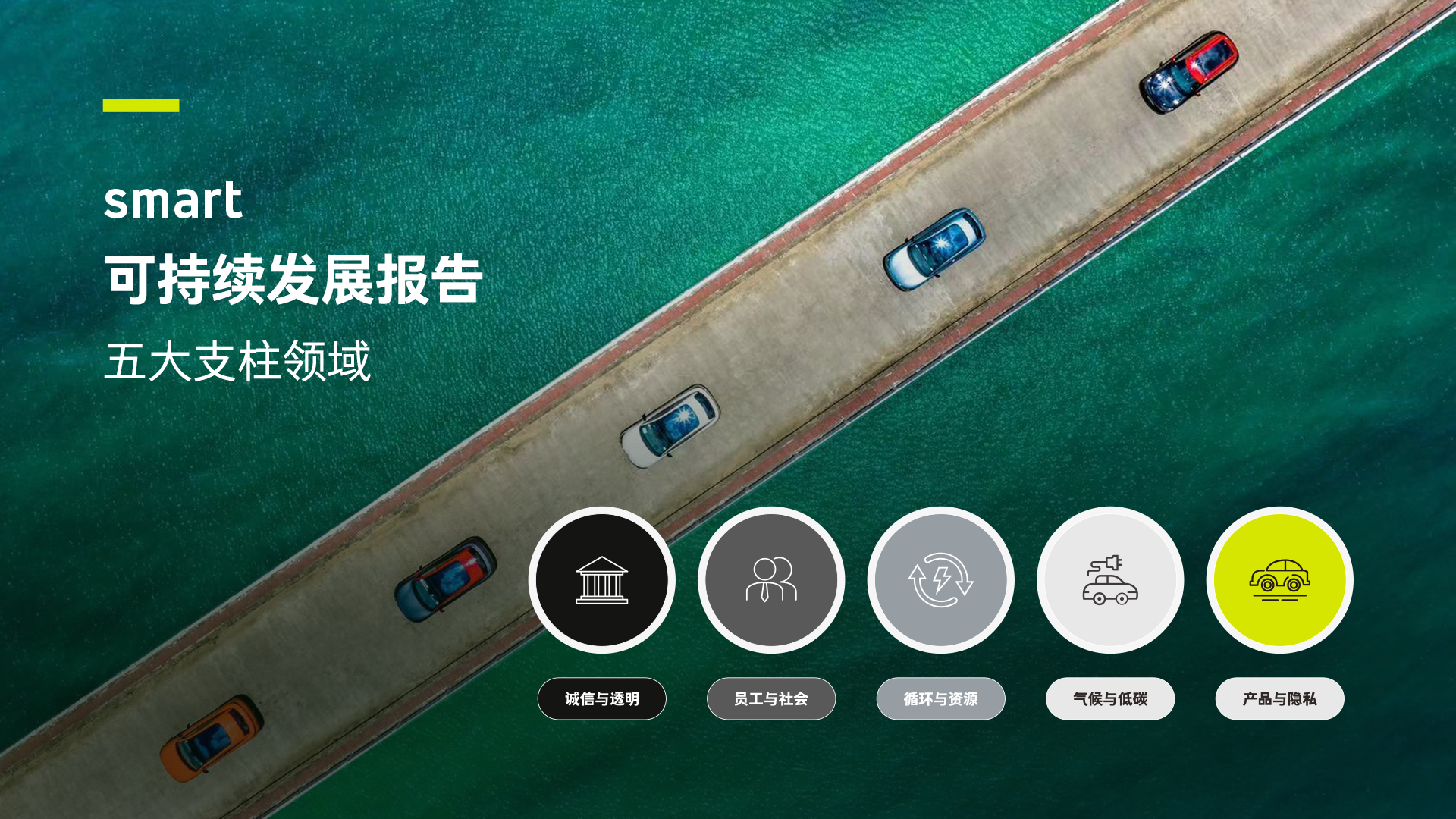 smart可持续发展战略五大支柱领域