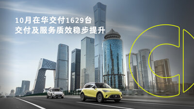 110smart11629287