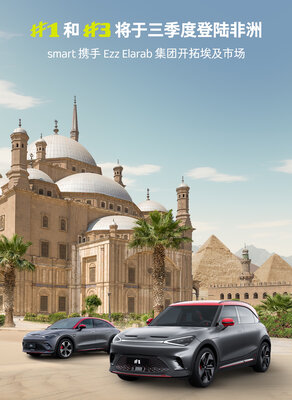 2.smart13