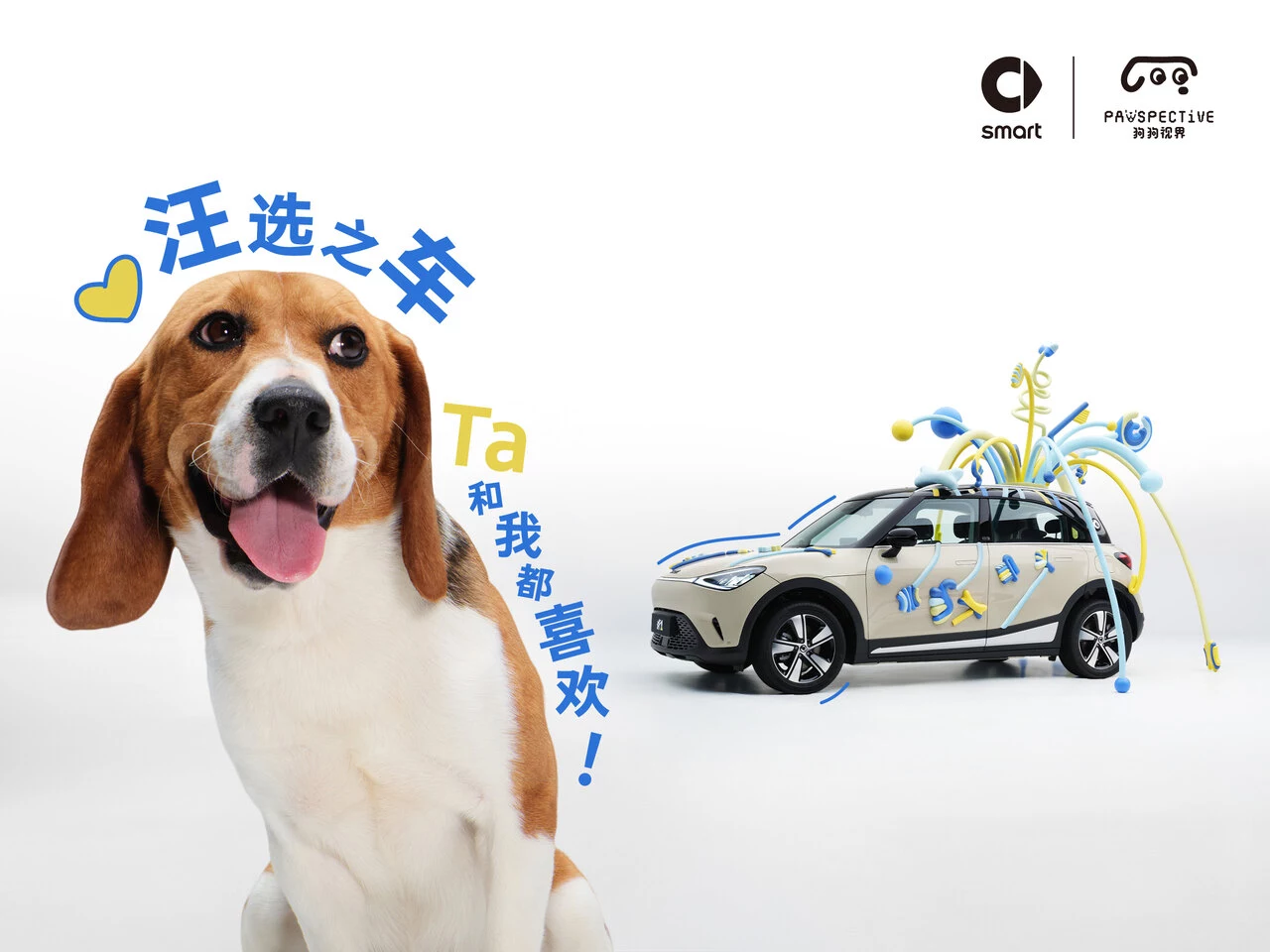 1_smart ×「狗狗视界」，重新定义小狗在移动空间中的出行标准.jpg