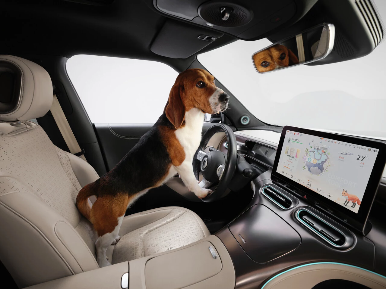 2_20 项宠物友好配置，smart精灵1号将对毛孩子的关怀落到实处.jpg