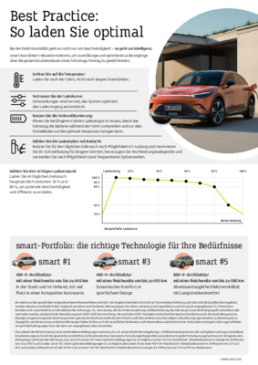 smart Deutschland_Infografik Laden.pdf