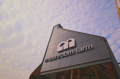 External view of Mushroom Farm.jpg