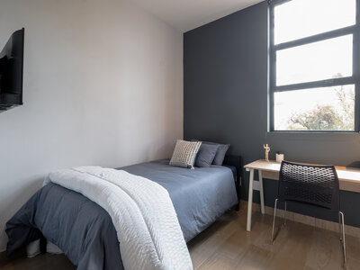 Brooklyn Studios _ 2 bed_7.jpg