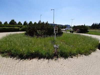 Flower meadows at EPP King Cross Marcelin in Poznan.jpg