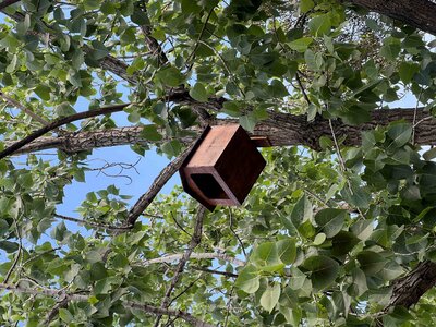 Emira Property Fund - Owl box.JPG