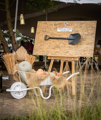 DSC02747 resized.jpg