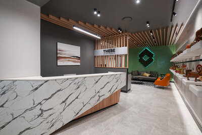 Thebe Investment Reception.jpg