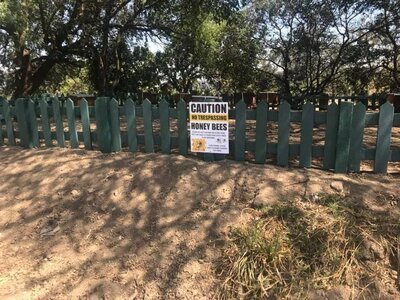 Bee hives at Woodlands Office Park.jpg
