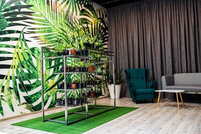 Galeria Twierdza in Zamosc_plant adoption point.jpg