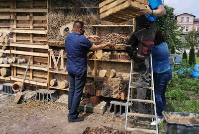 Galeria Solna Inowroclaw_ building hotel for insects.jpg