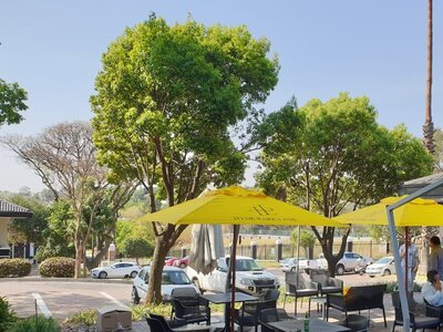 Hyde Park Lane Office park 2 .jpg