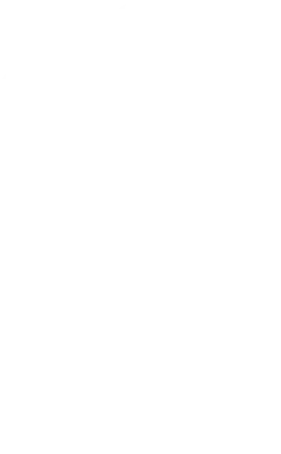 Beeline-Icon-White