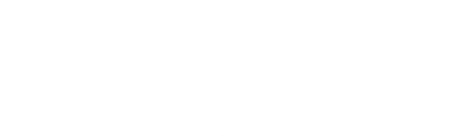 velo 2 wordmark white