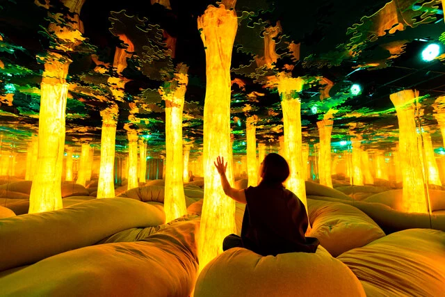 Euphoria Grove. Image credit to Fever