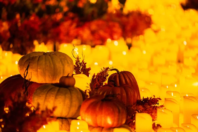 Candlelight_MEDIAKIT_HALLOWEEN_2024_10_26_Sala-Fernando-De-Rojas-Del-Circulo-De-Bellas-Artes_MADRID_ES_095