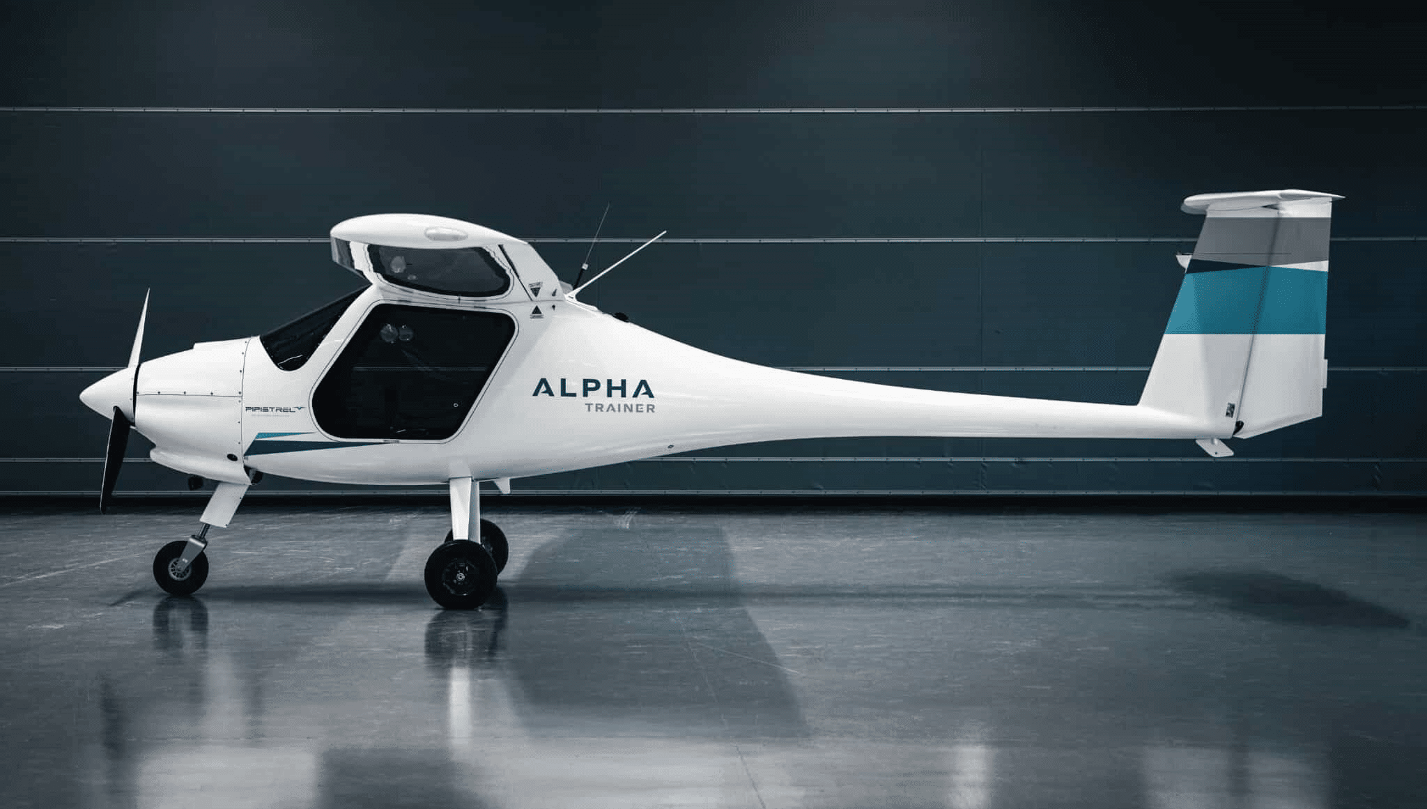656059-Alpha-Trainer_website-e1e316-original-1771513908.png