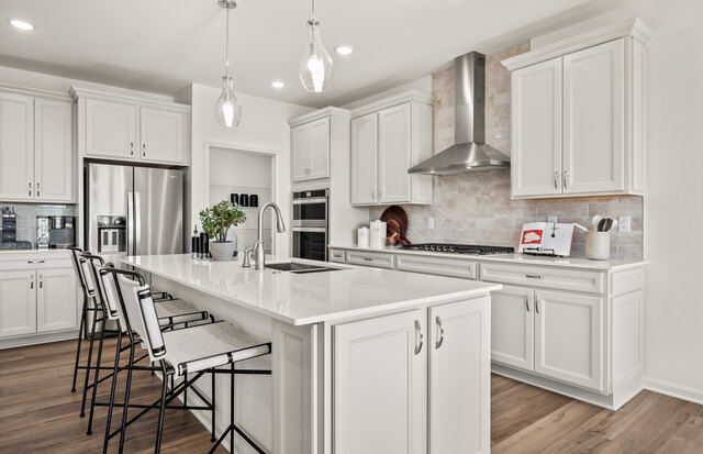 mi-pu-ccg-countryview-elevfh201-04400-kitchen2.jpg